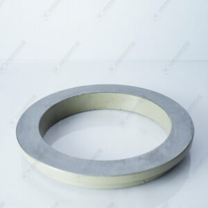 ANILLO DE CORTE SCHW DN210